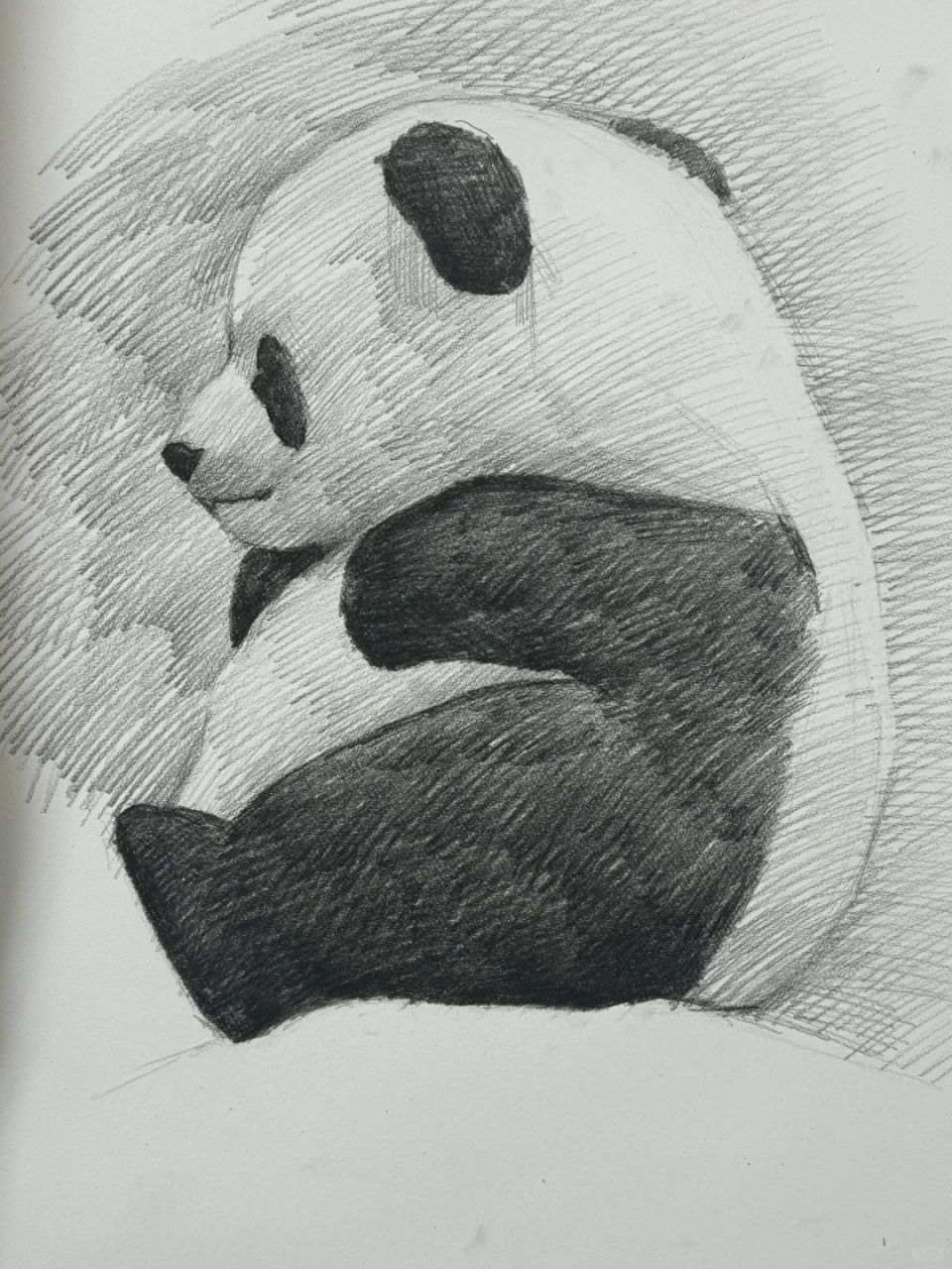 绘画过程中,尤其是在创作如熊猫这样可爱且富有细节的动物时,掌握