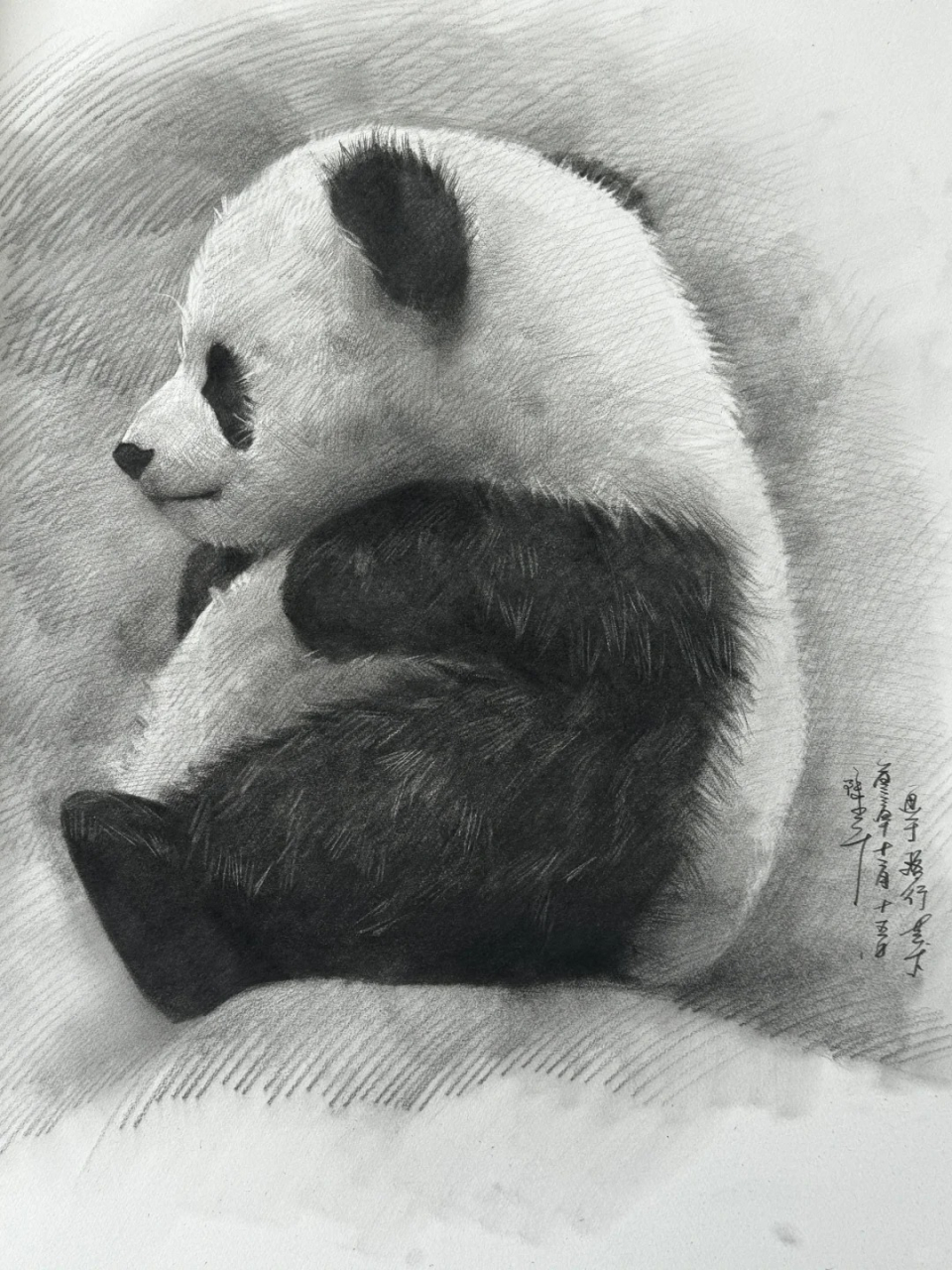 熊猫素描怎么画  绘画过程中,尤其是在创作如熊猫这样可爱且富有细节