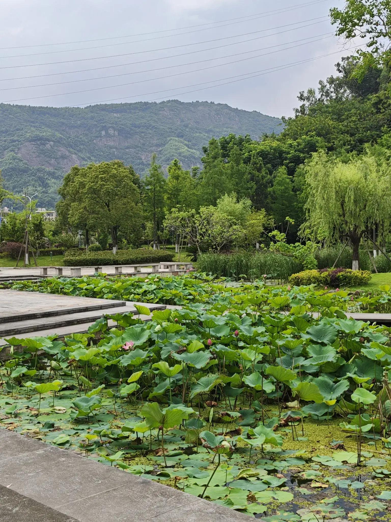 昨晚刷朋友圈的时候,发现我表妹和她男朋友偷偷跑来我们这座城市玩