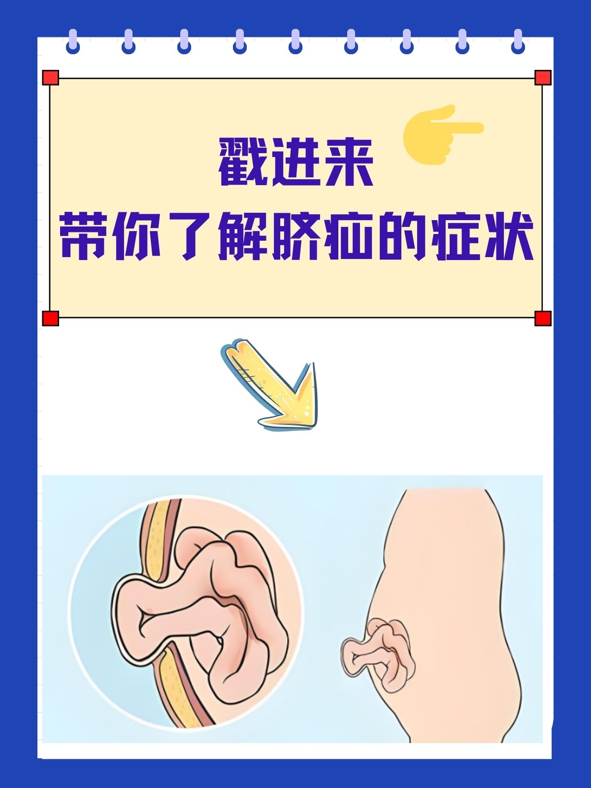 公猪脐疝手术图解图片