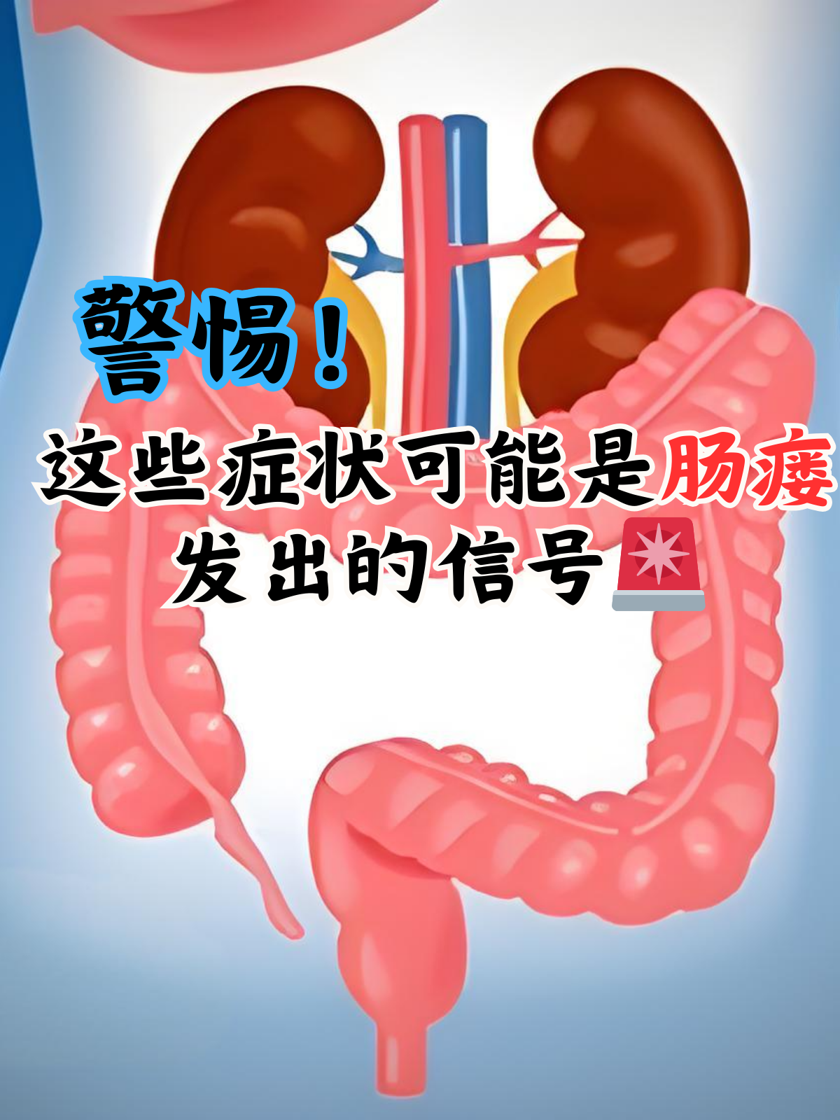 大肠小肠怎么检查多少钱(大小肠检查属于哪个科室?)