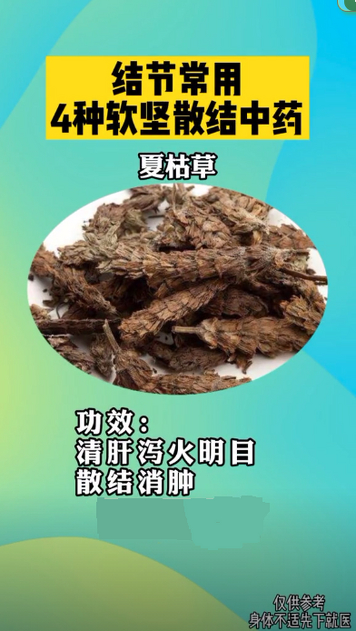 散结外敷草药图片