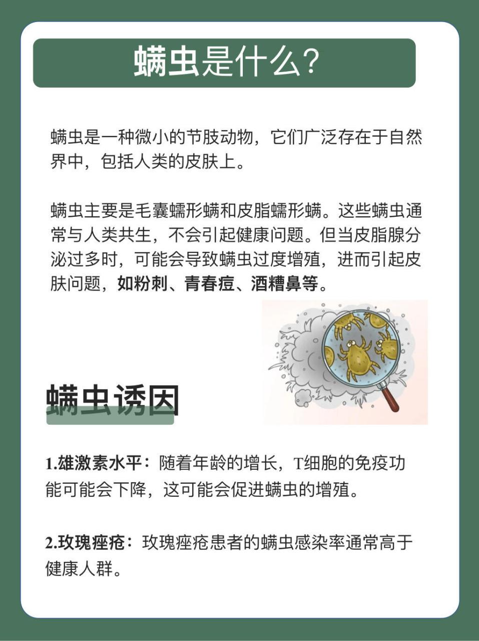 螨虫是一种微小的寄生虫,喜欢在我们的皮肤里 "安家".
