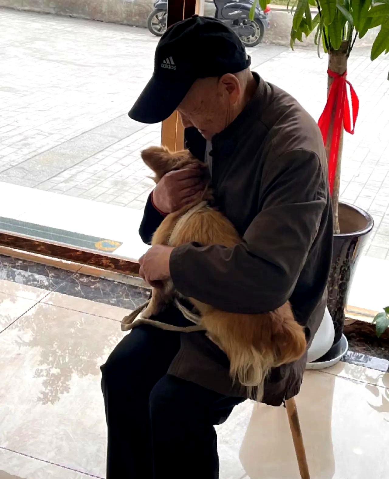 一位大爷把养了 7年的狗以 600 块出售给了狗贩