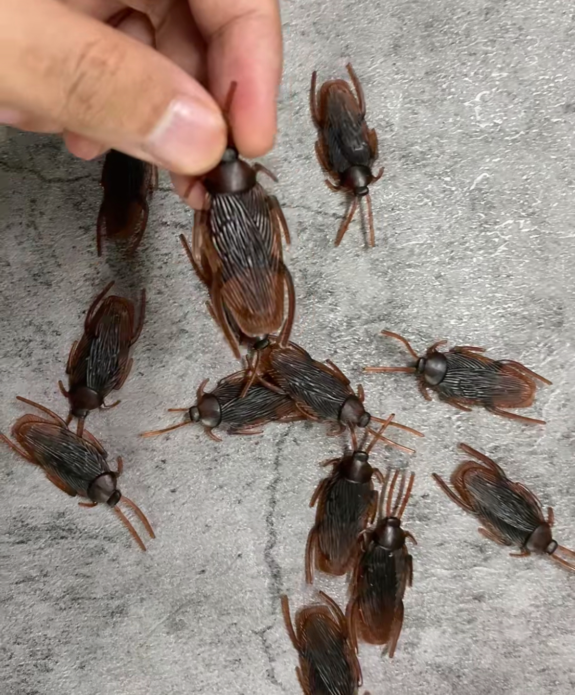 敌敌畏能杀死蟑螂