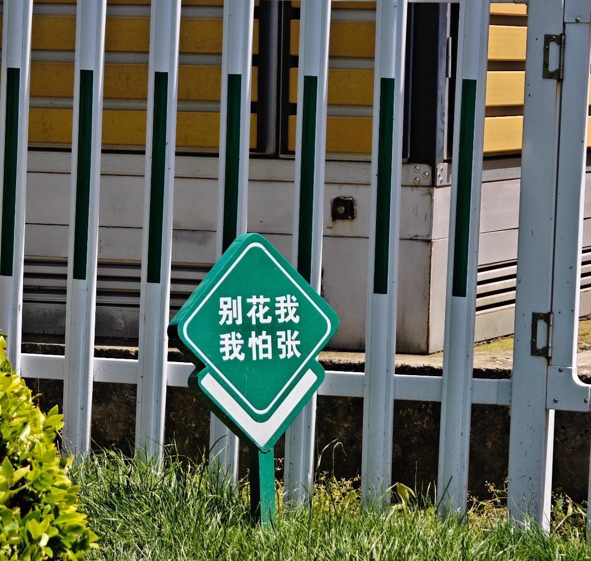 今早街头,市民目光聚焦 路边草丛旁,一个奇怪的标语牌吸引了不少路过