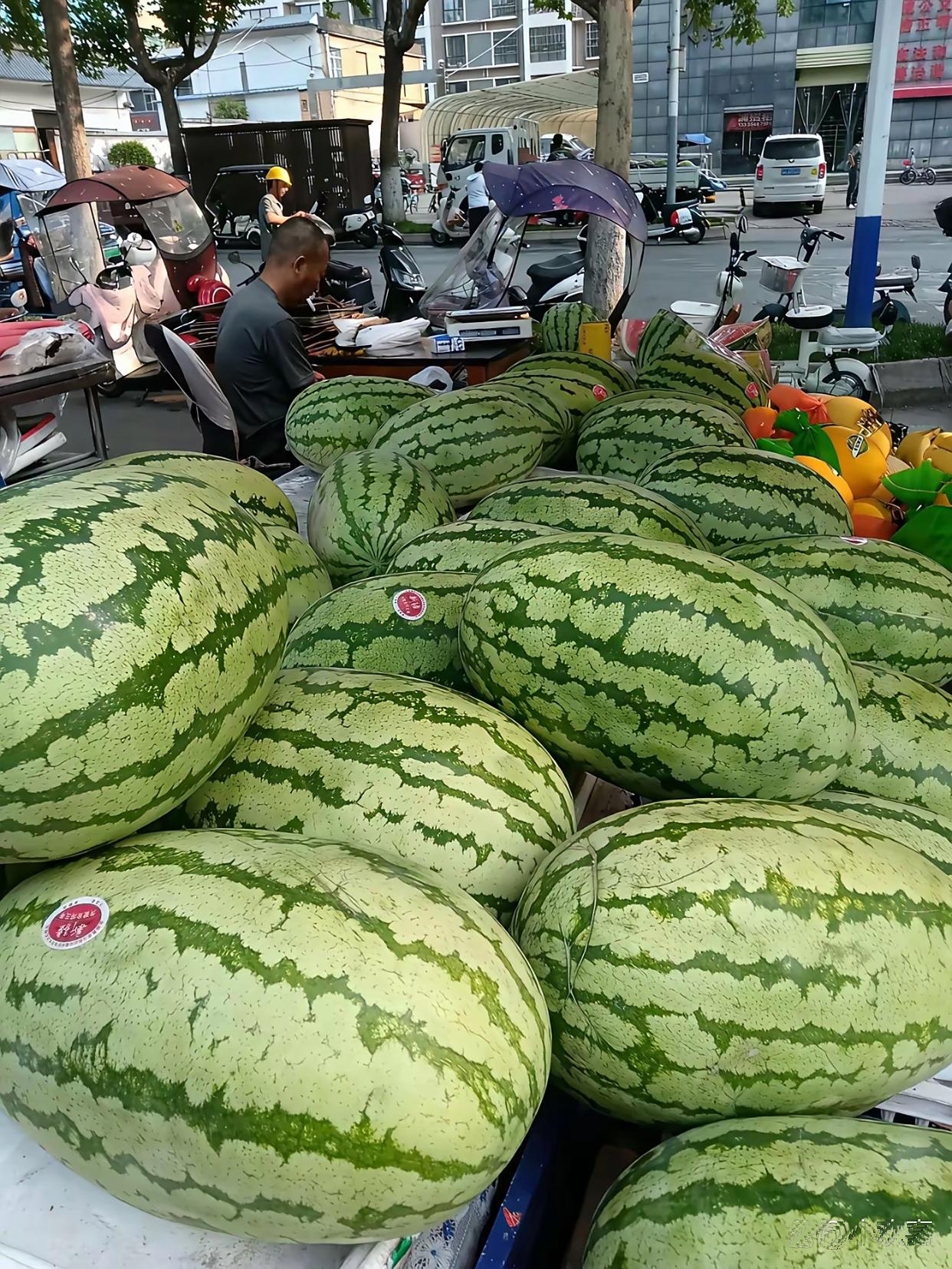 最近买宁夏硒砂瓜咋变味了?