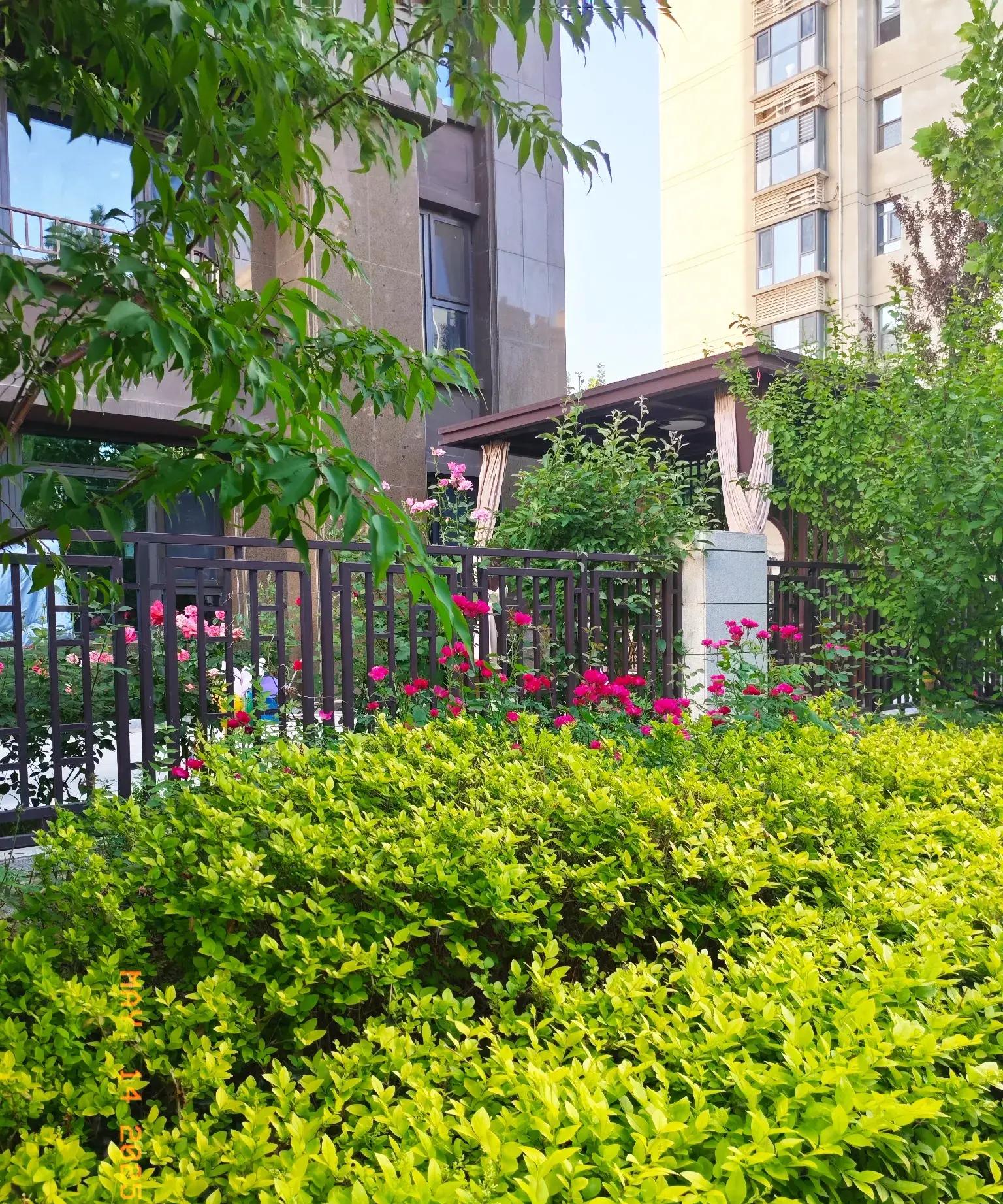 侄女的工作成了鸡肋,弃之可惜,食之无味