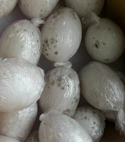 网上学着做的咸鸭蛋发霉了,到底是哪个步骤出错了?