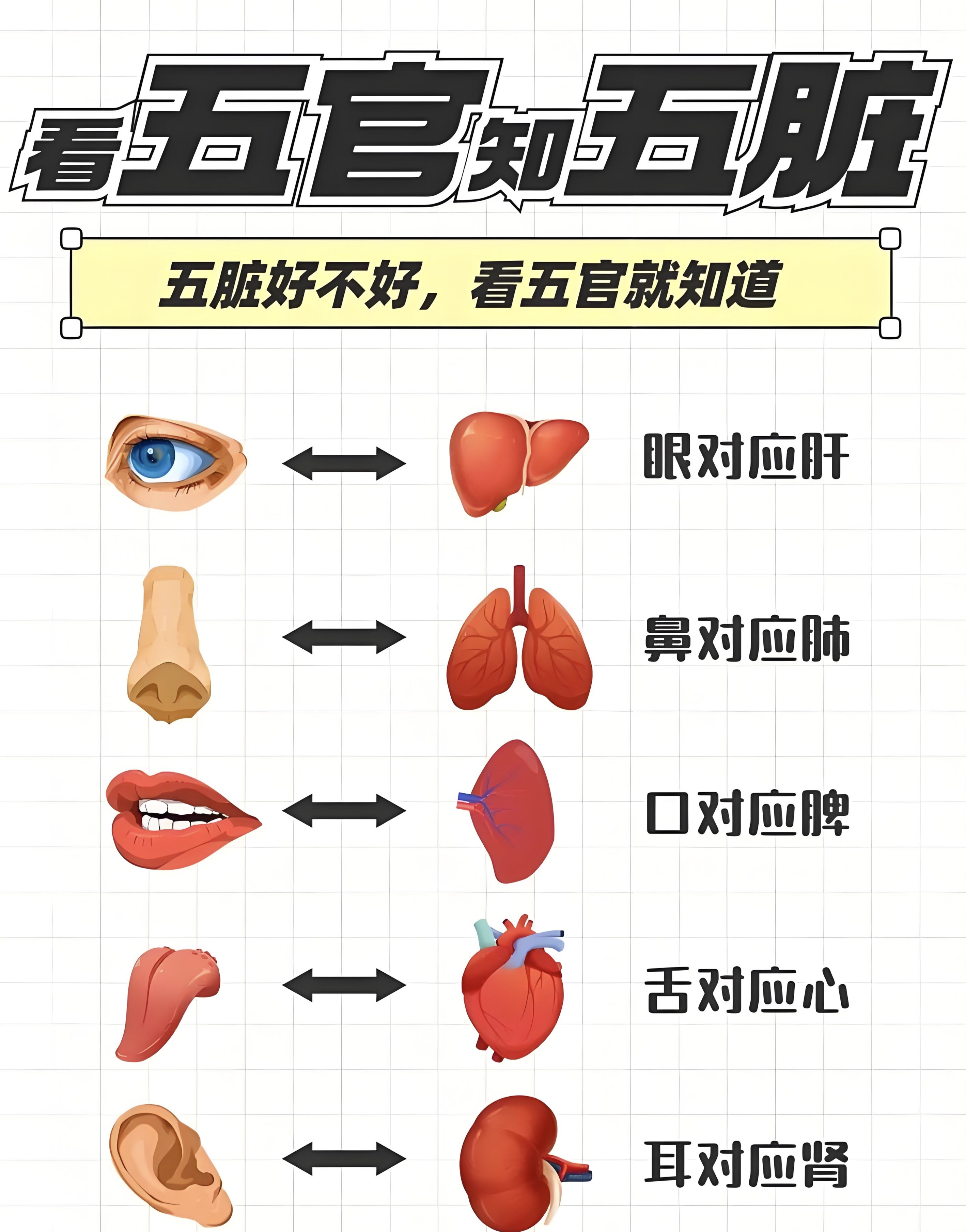 舌苔对应五脏图片图片