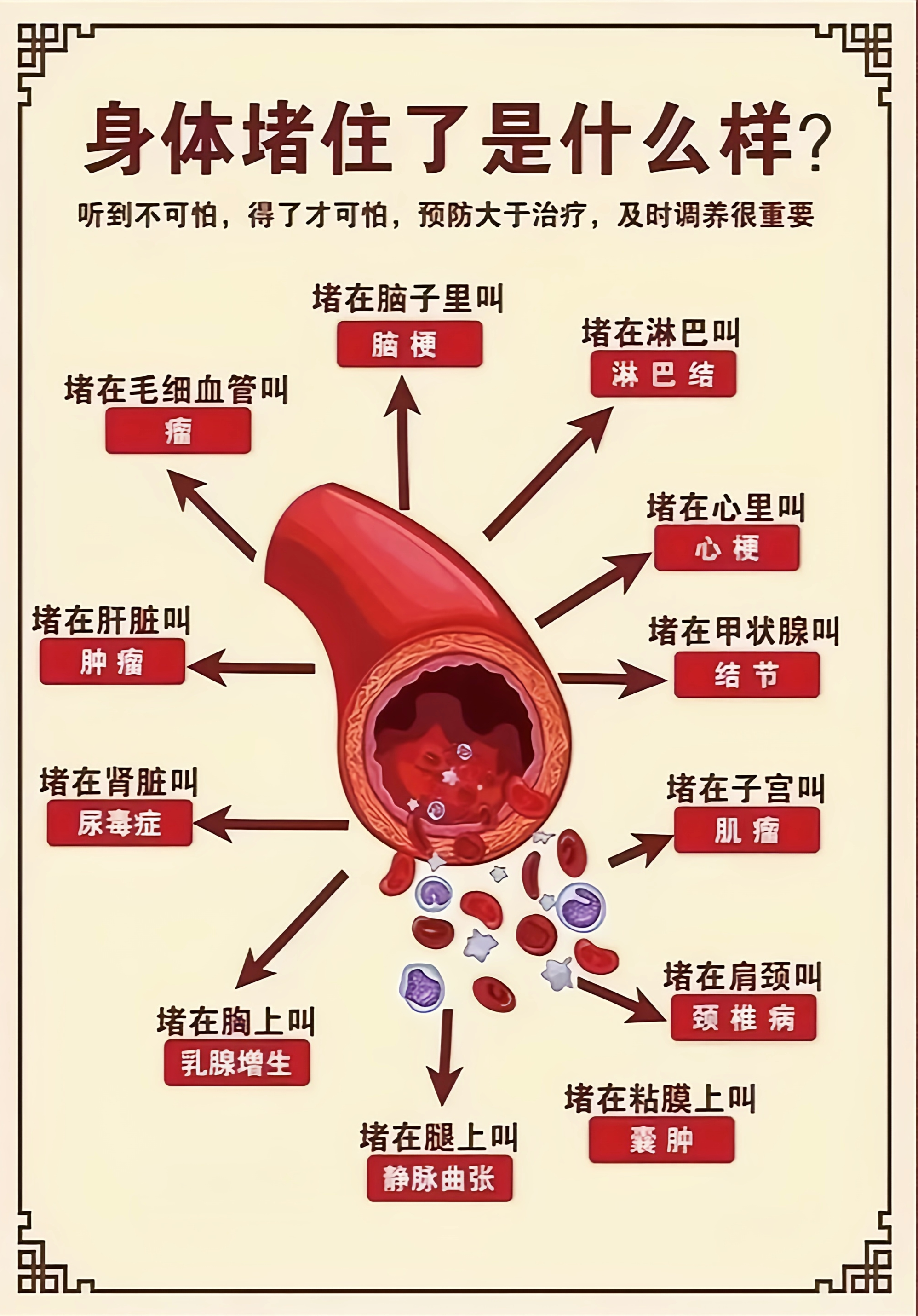 人体气血运行的方向图片