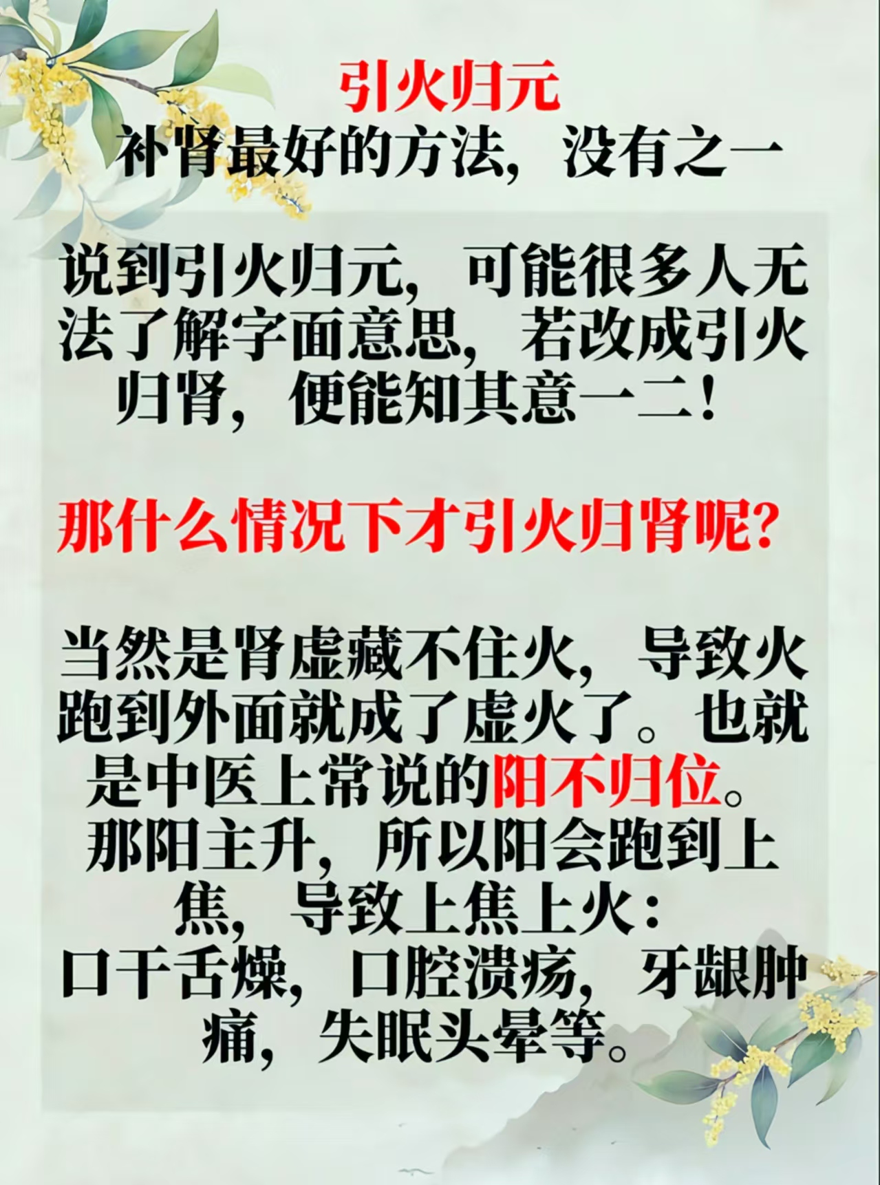 中医讲补肾引火归元补肾最好的方法没有之一