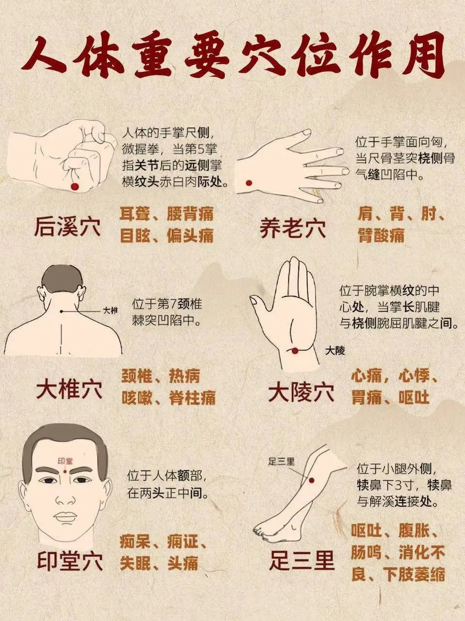 五张超清晰的人体经络穴位图来啦!以后再也不用担心找不到穴位喽!