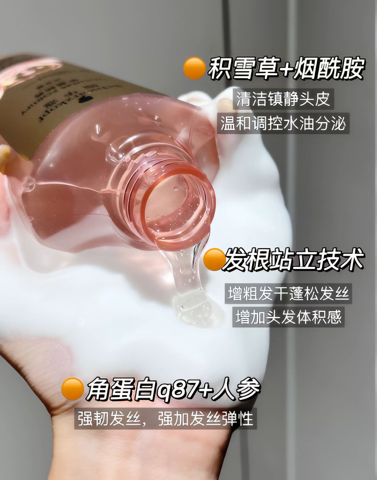 真实分享 施华蔻丰盈韧养洗发水真实使用体验 使用体验