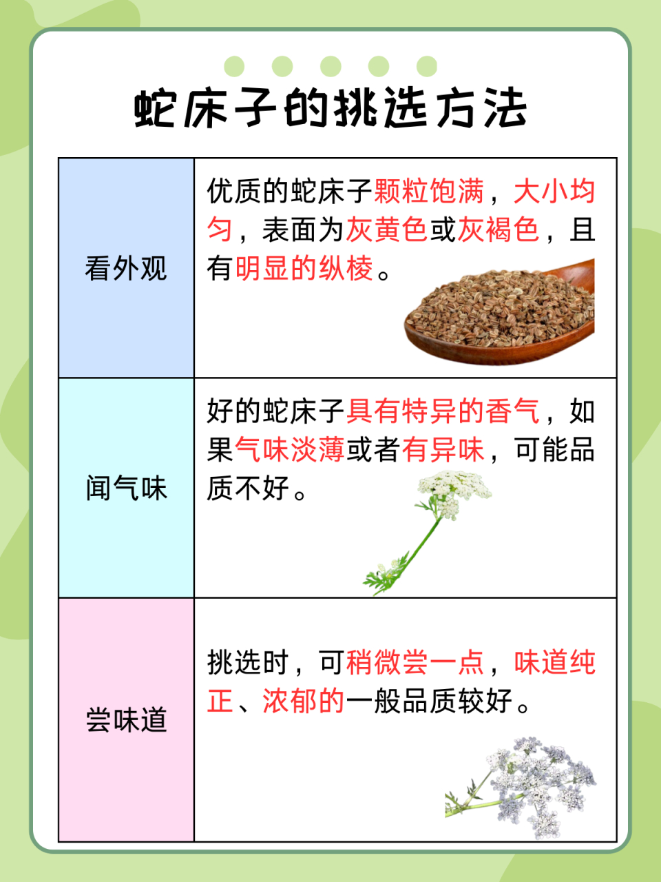 揭开蛇床子的神秘面纱:功效与作用大起底 91蛇床子来自伞形科植物蛇