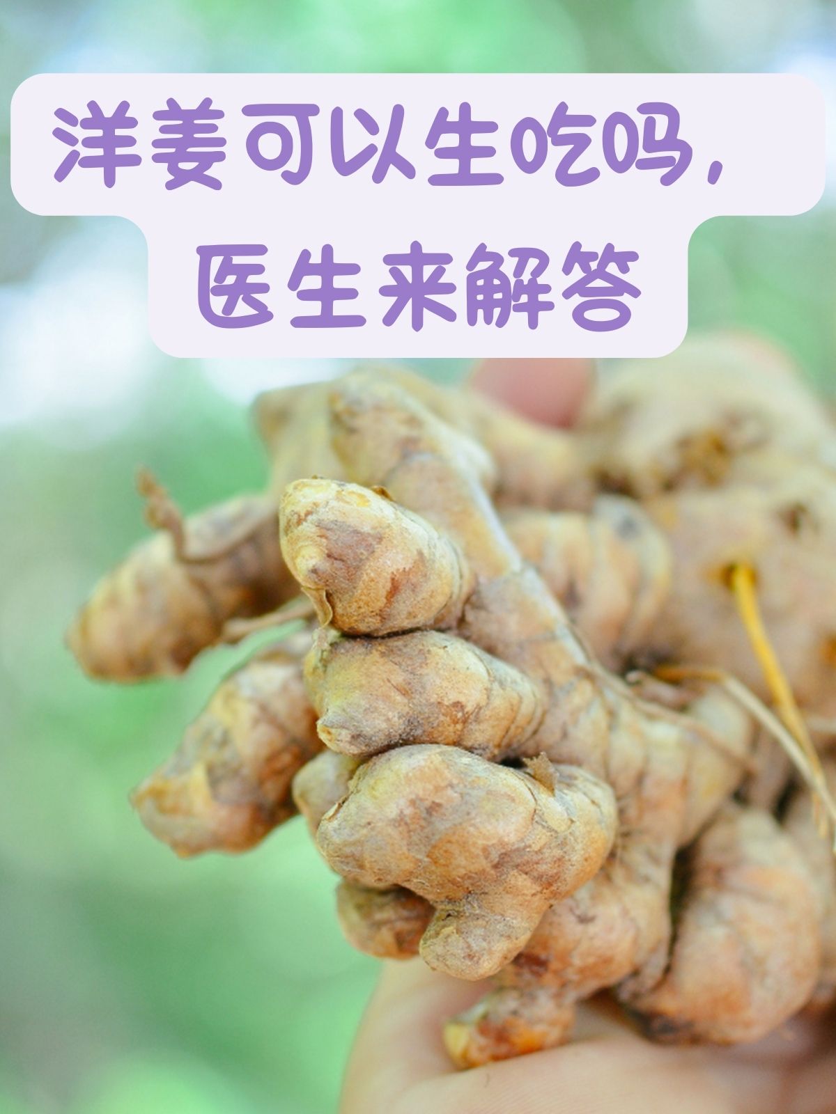 洋姜可以生吃吗医生来解答