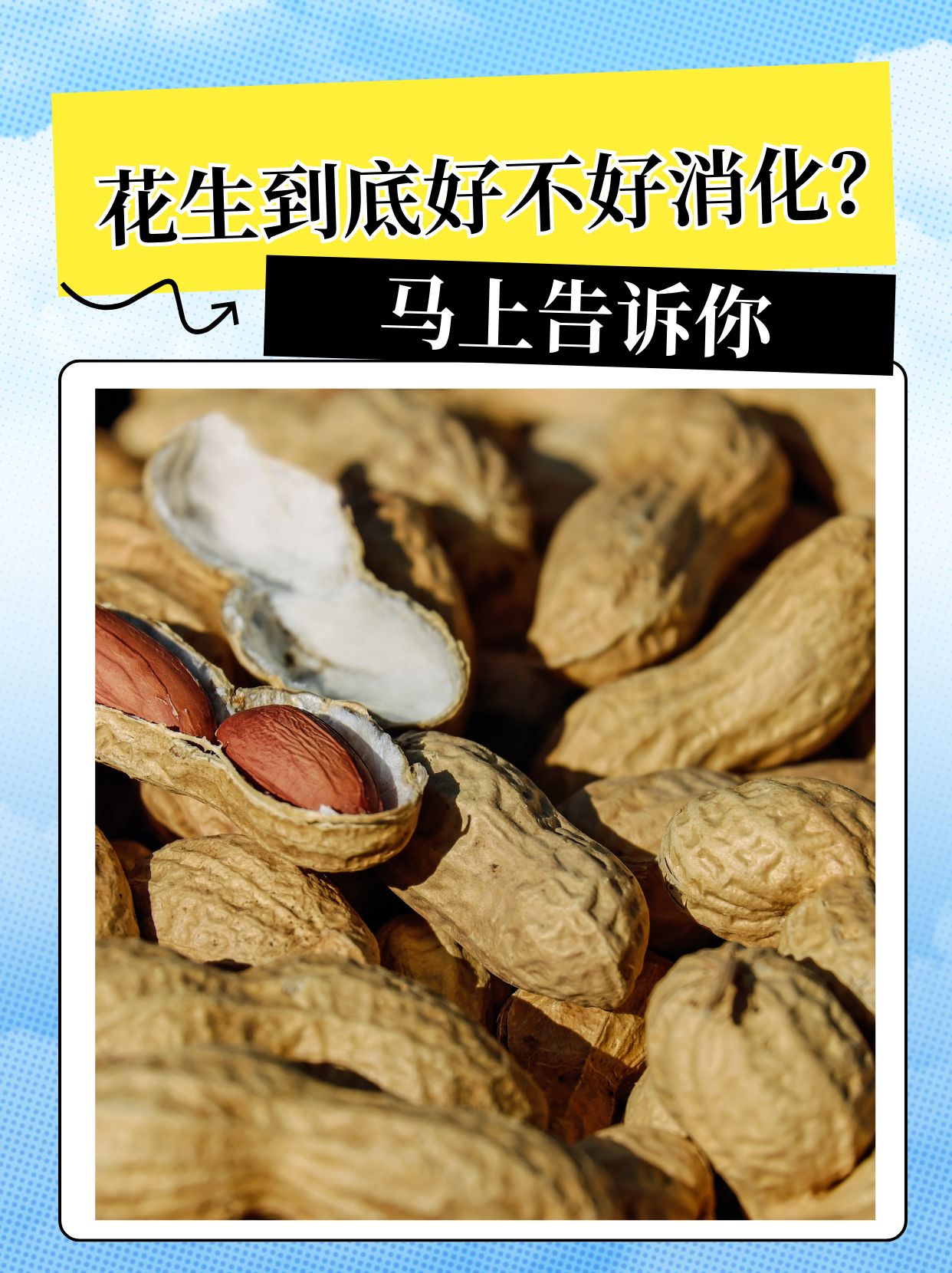 花生为什么叫落花生