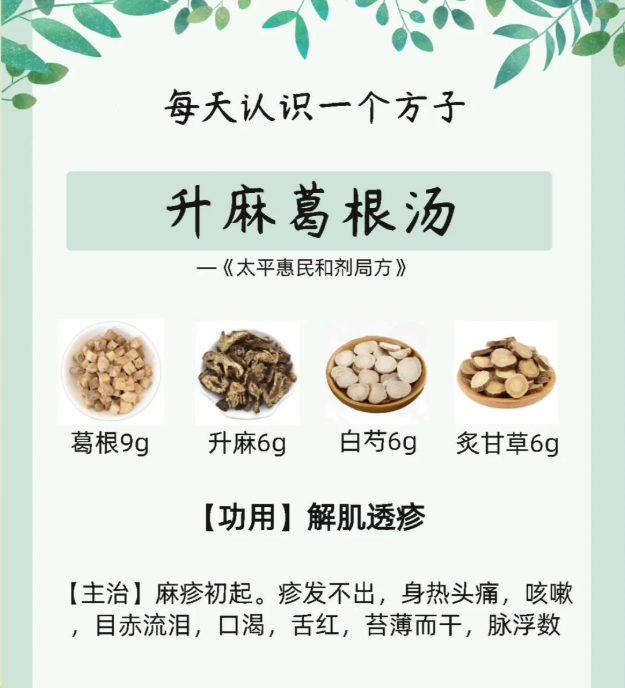 升麻葛根汤功效不少,能解毒透疹,还可解肌清热