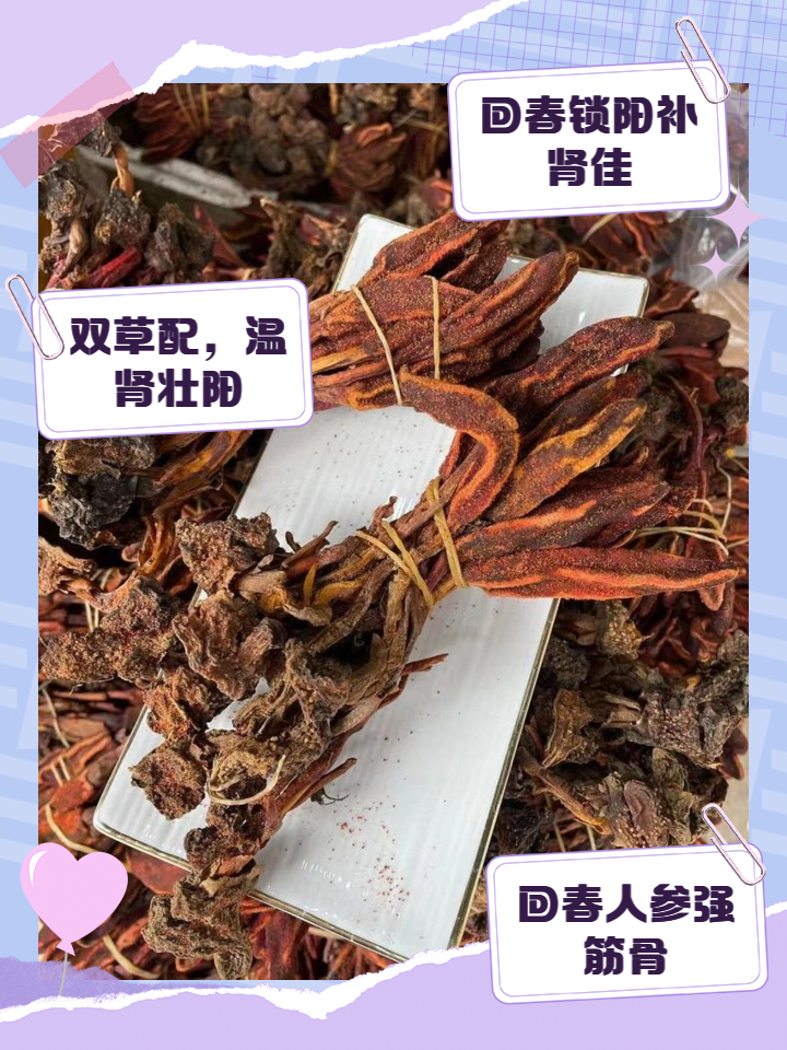 回春散功效多样,能清热定惊,祛风祛痰