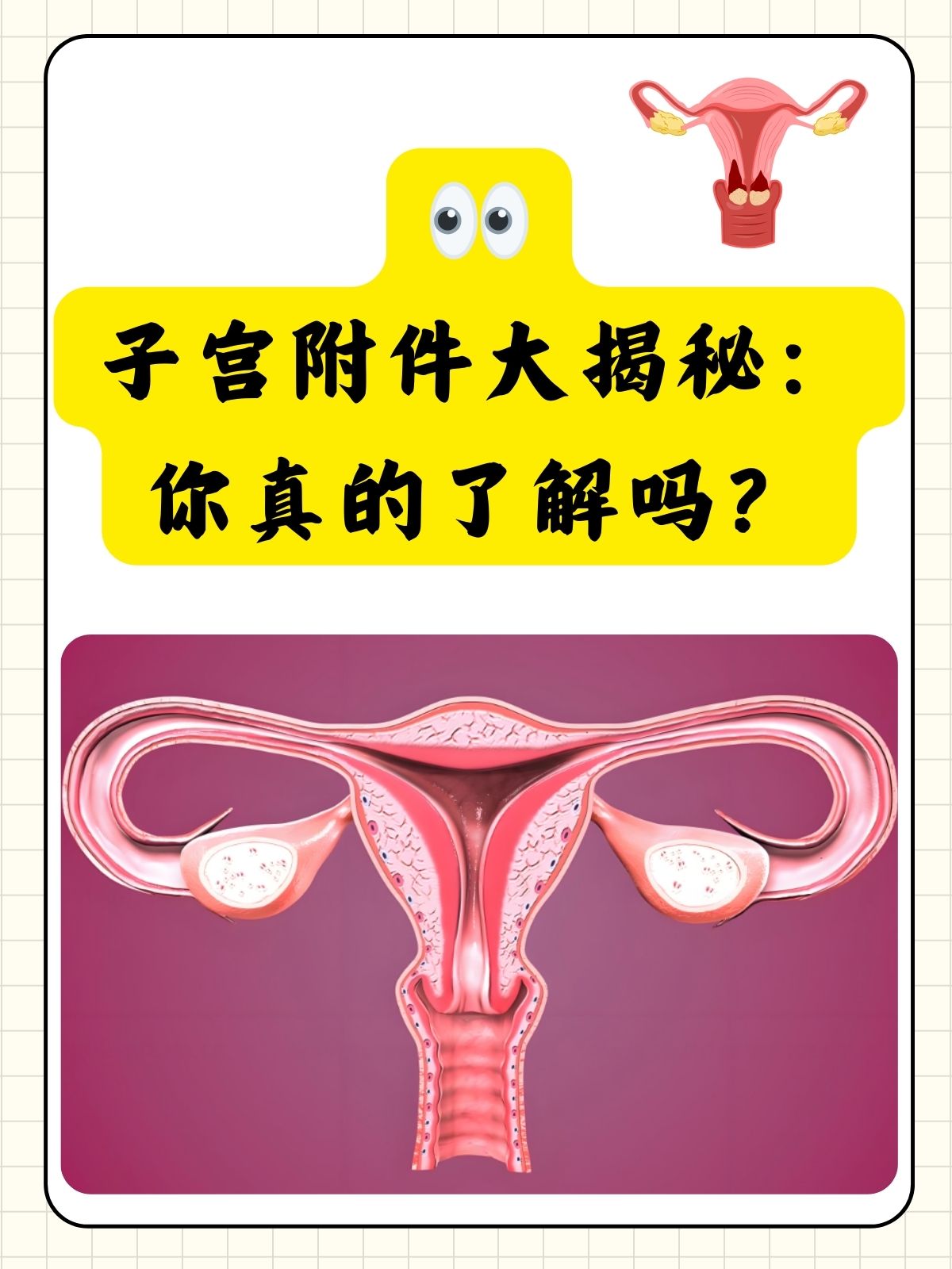 它主要包括输卵管和卵巢: 输卵管:输卵管为子宫附件子宫附件图片女性