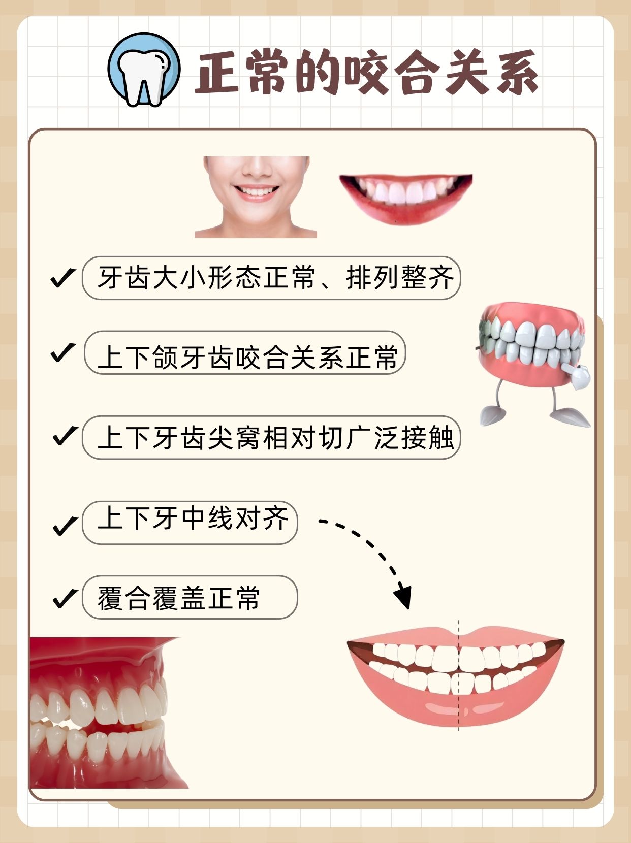 咬合关系知多少?一文带你了解牙齿的正常咬合!