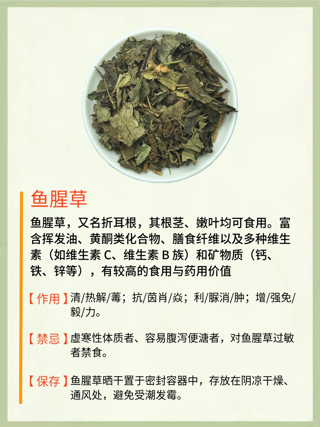 鱼腥草煮水喝有什么功效和作用?