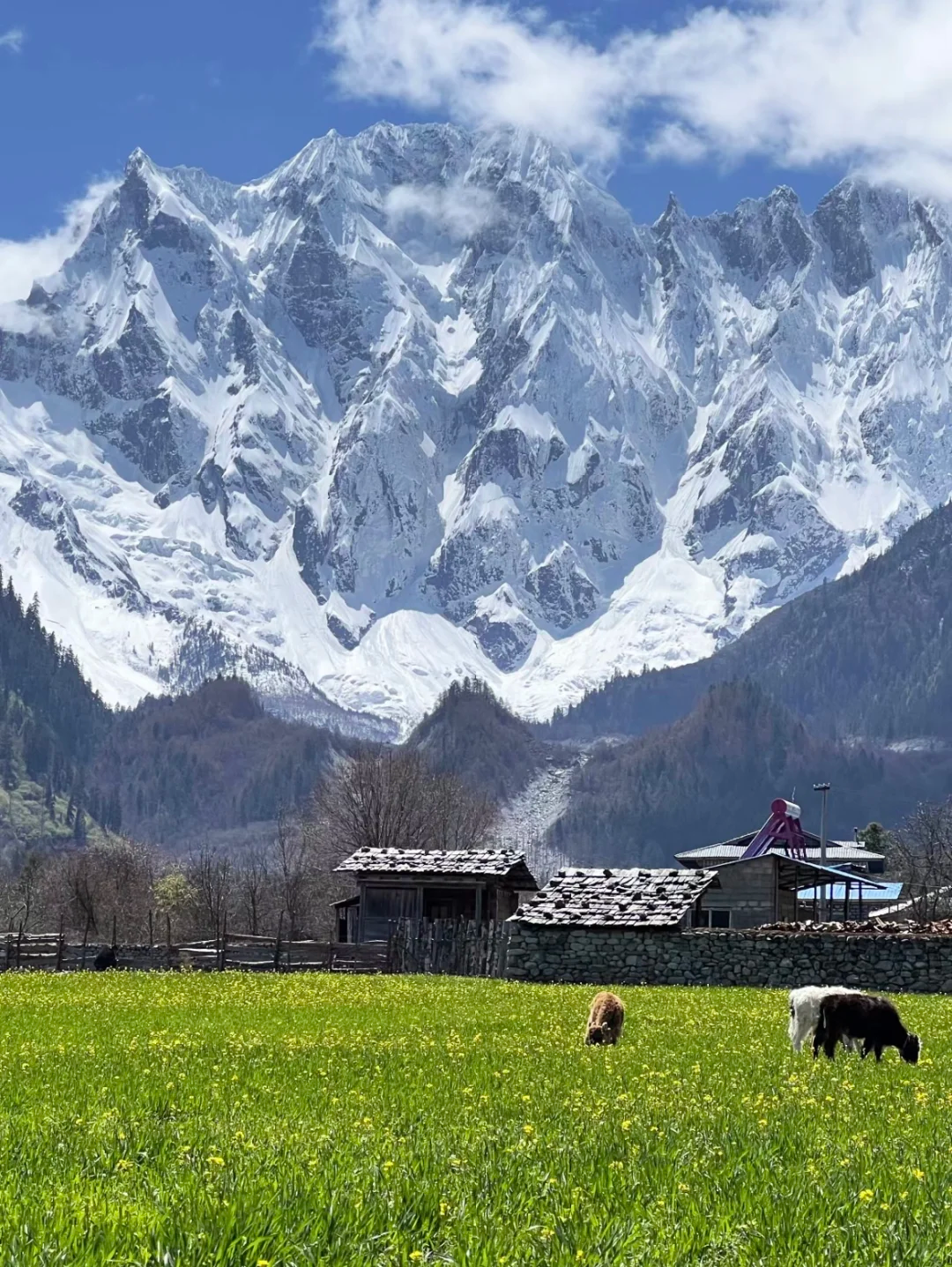 回味旅游的美景图片