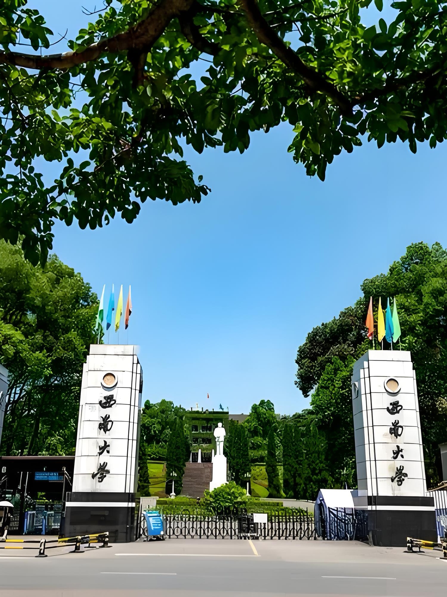 西南大学在哪里