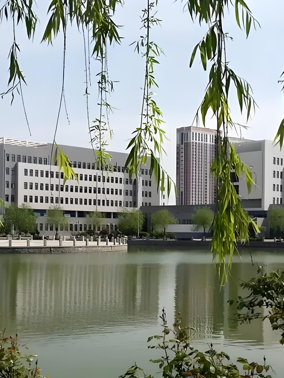 老鸟红酒(一只鸟的红酒什么牌子)