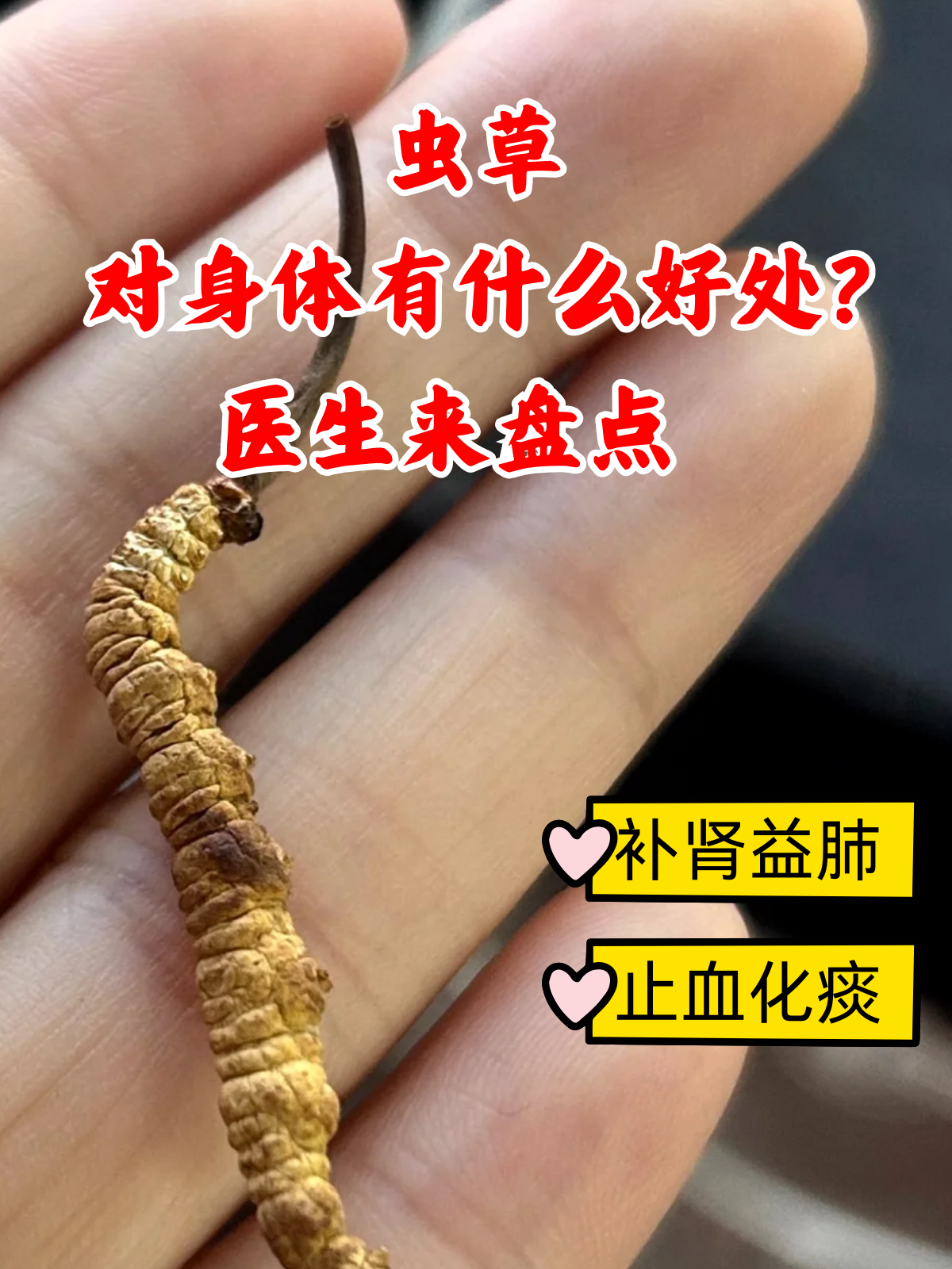 是一味相当受欢迎的中药,它是不少人补益