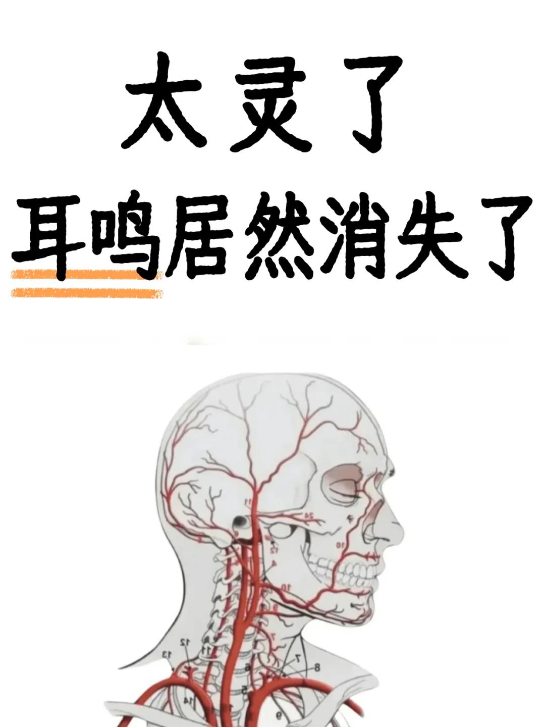 眼袋或耳鸣沟搏动性耳鸣导致耳后骨头薄左侧耳后颈部疼痛而且耳鸣