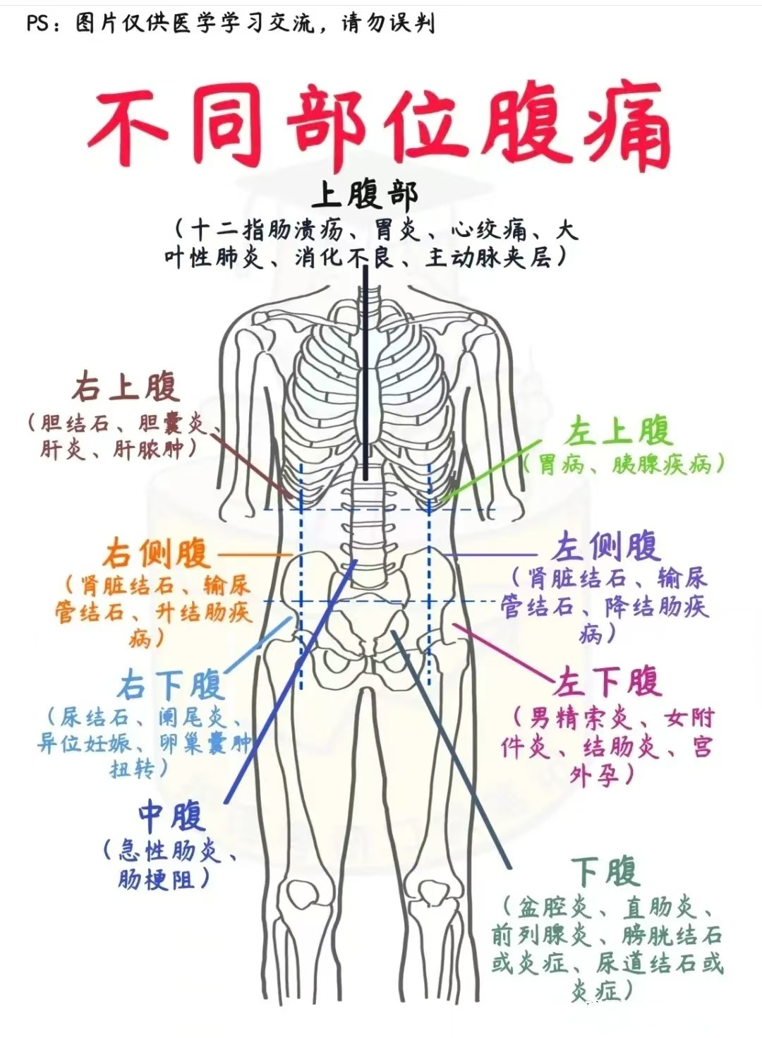 肚子痛,分清位置才是用药的关键!