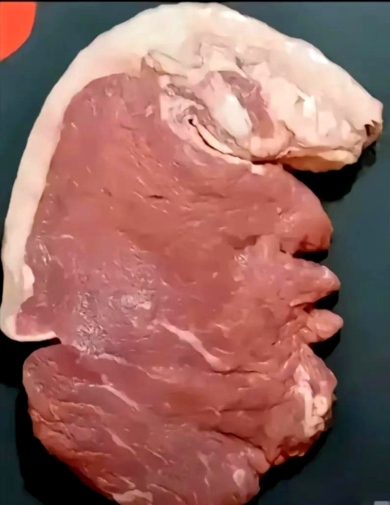 今天掘金对太阳的比赛中,人类五花肉精华约基奇砍下31分 21篮板 22