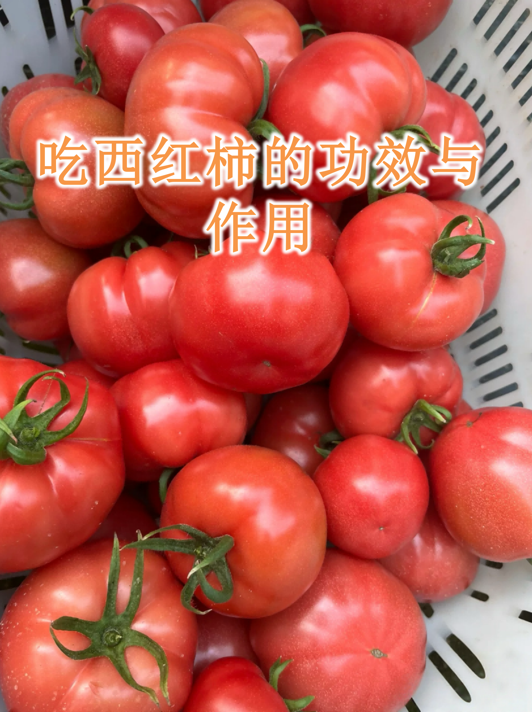 西红柿加蜂蜜可以美白吗(西红柿加蜂蜜擦脸能祛斑吗)