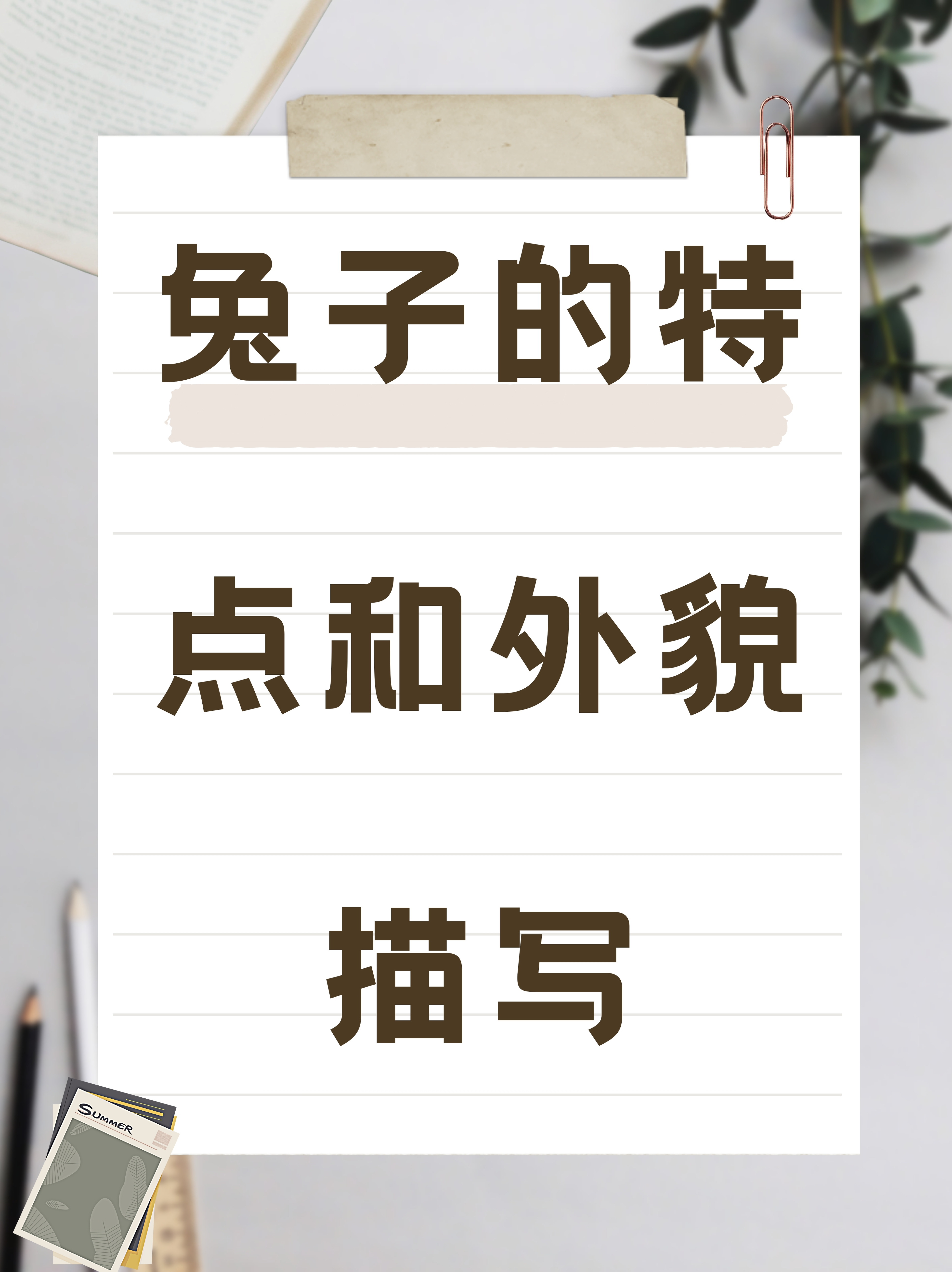兔子,这一温顺可爱的小动物,以其独特的魅力和