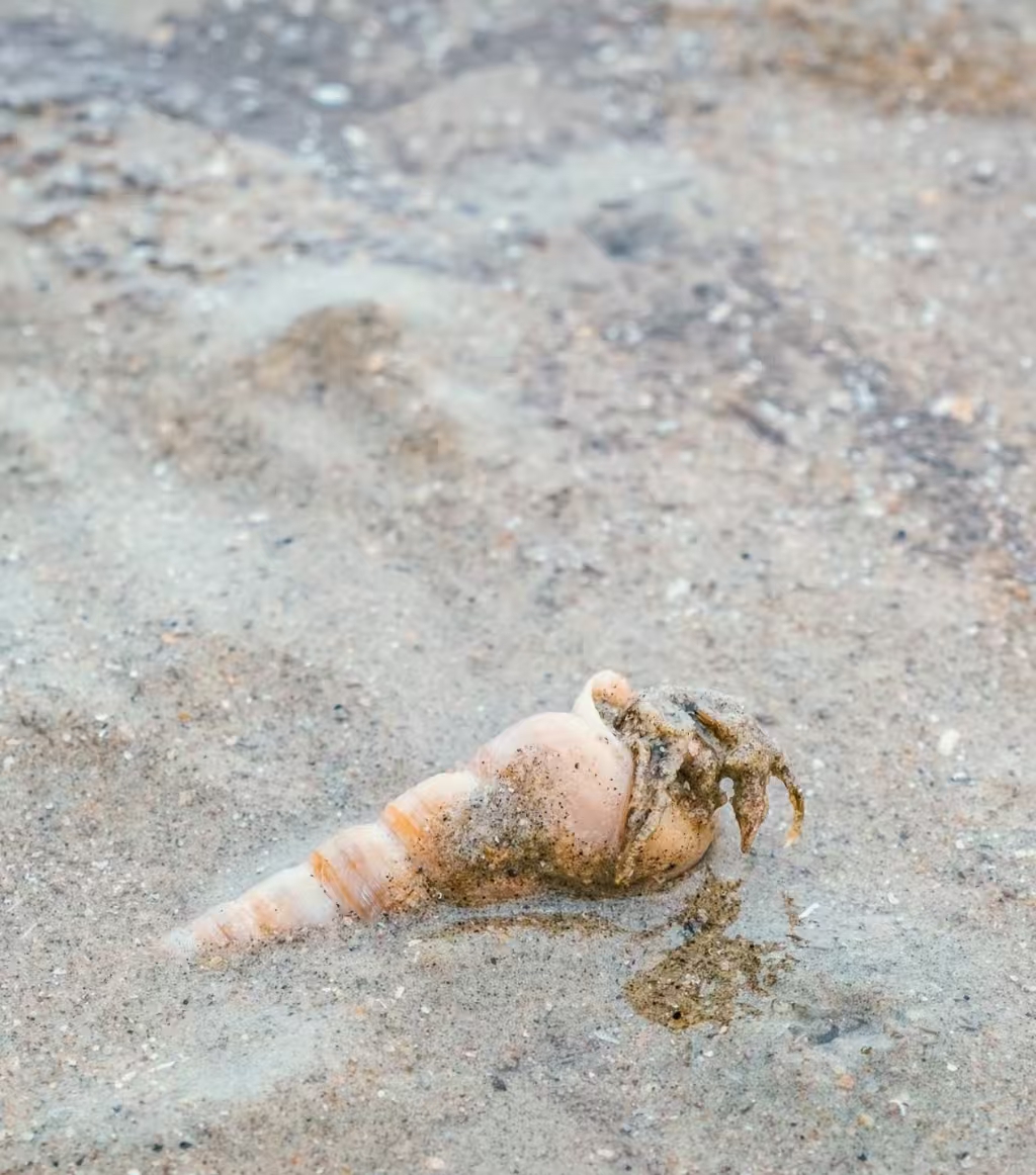 — day1:南宁→扬美古镇→浩坤湖 上午:摸鱼古镇青石板