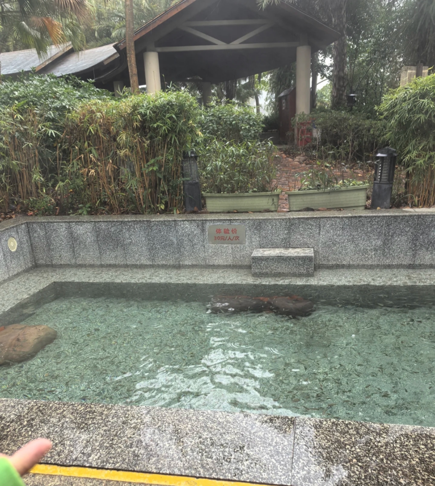 我和朋友们最近去了广西,这个拥有丰富自然景观与深厚文化底蕴的地方