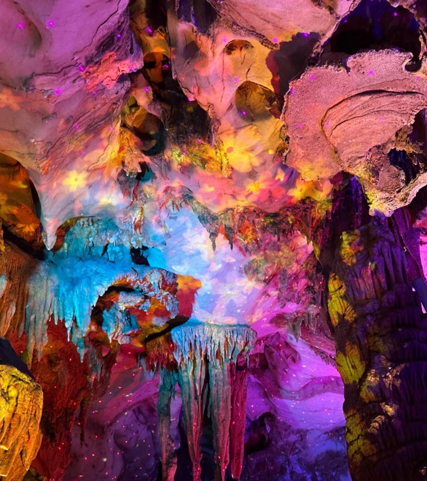 这里的山脉,森林和湖泊让人心情愉悦,仿佛进入了一个与世隔绝的仙境