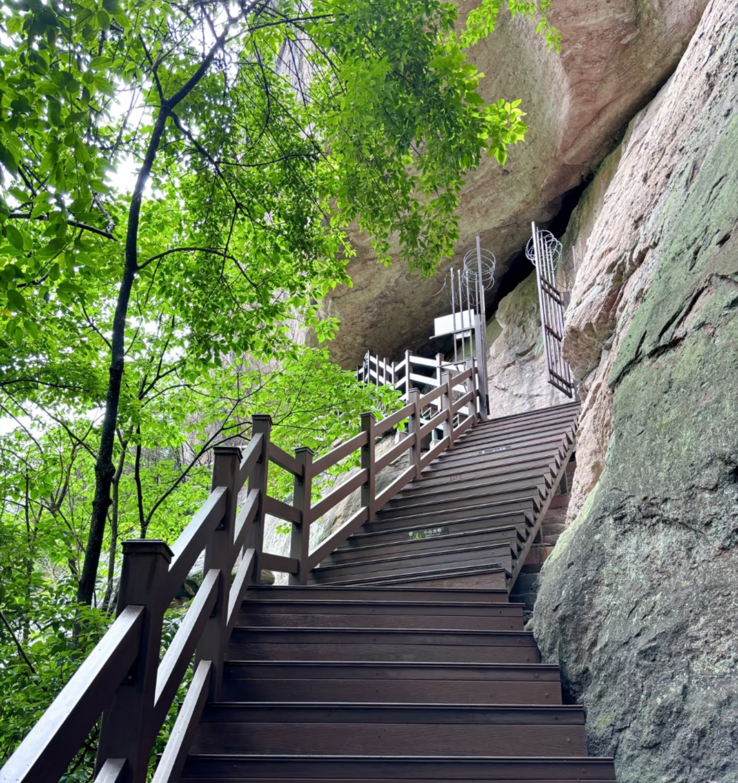 无论是山川的壮丽,还是水域的宁静,每一处景色都让我深深沉醉