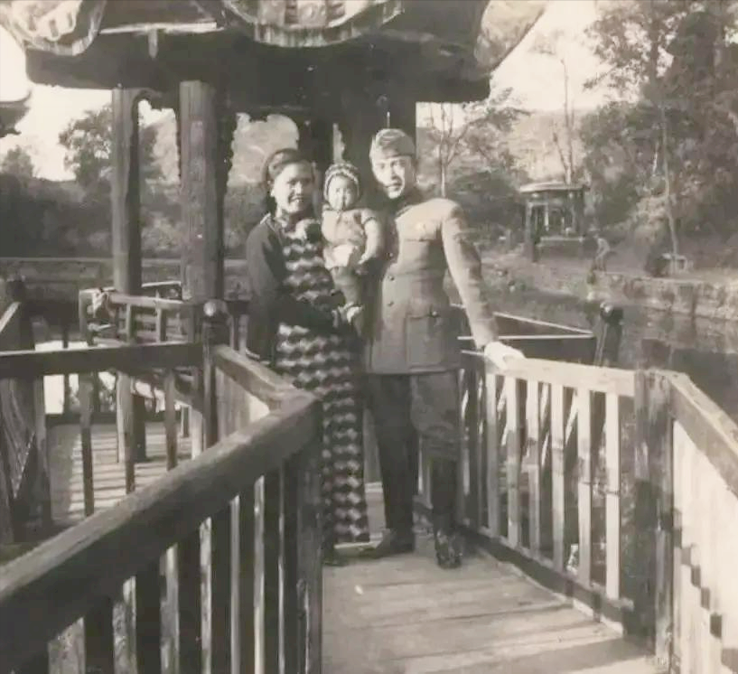 结婚后不久,陈尔晋发现妻子经常早出晚归,形迹可疑,他跟踪发现,妻子