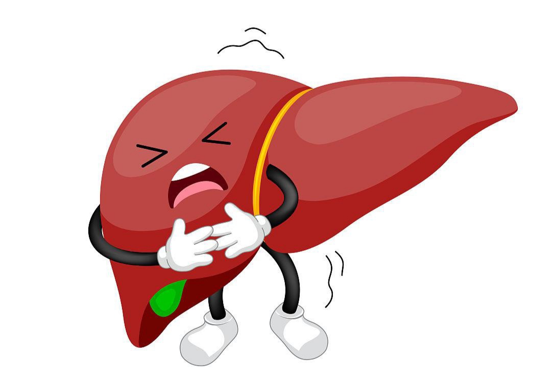 1肝脏体积改变,外包膜粗糙,欠光滑,肝硬化卡通肝硬化卡通图片肝硬化