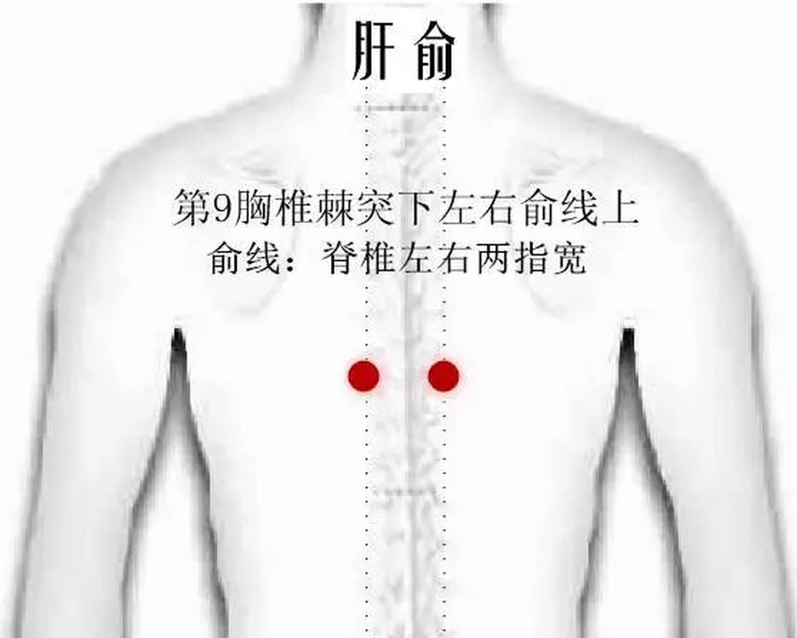 慢性肝炎,胆囊炎,按3个穴位,疏肝利胆,消炎症