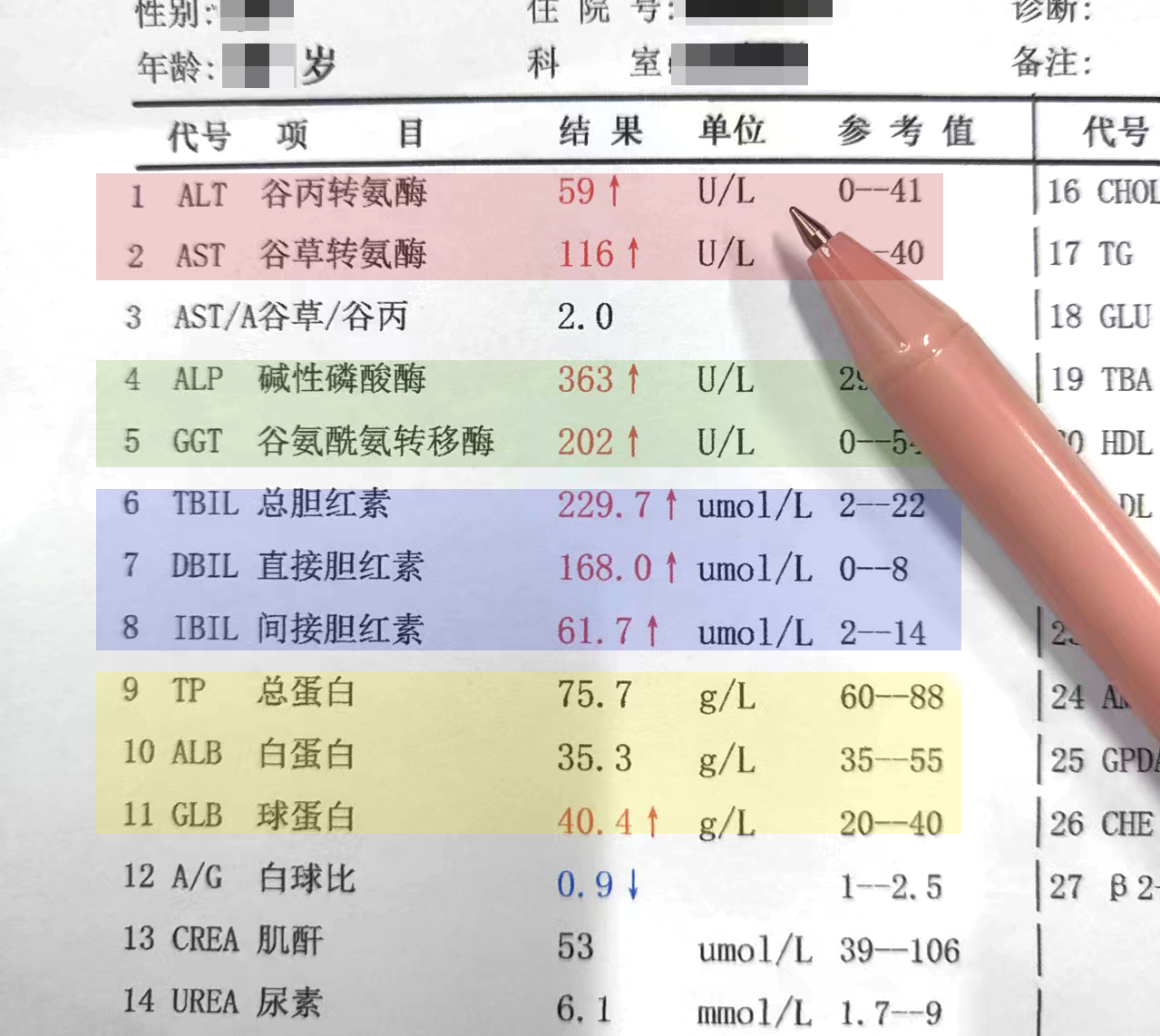 肝病患者男性转氨酶不超过30,女性不超过19