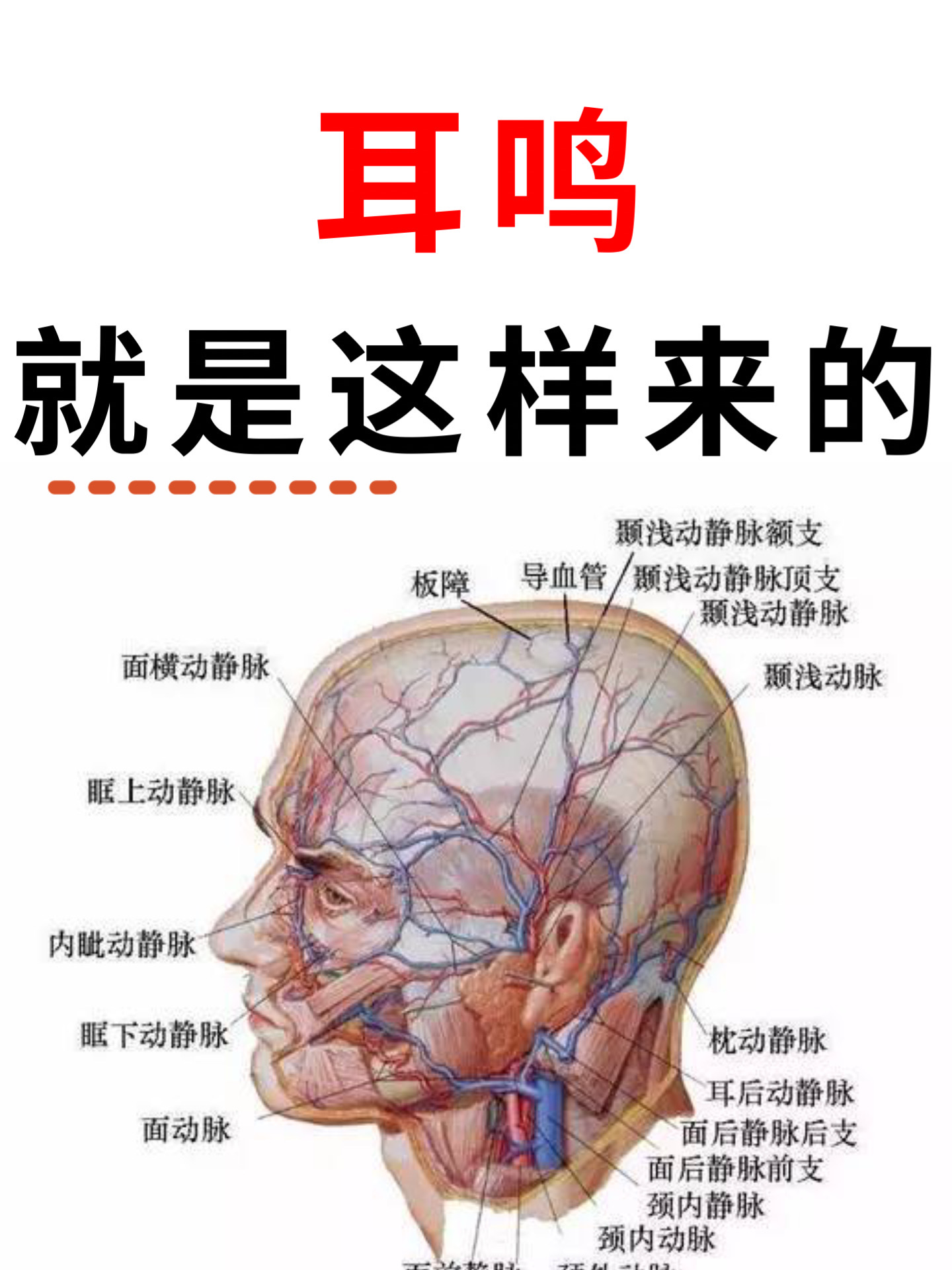 一个农村老中医告诉我耳鸣其实是清窍失养此方或将失传