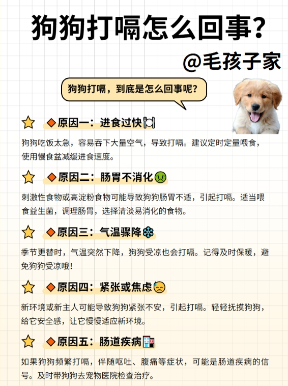 为什么容易打嗝