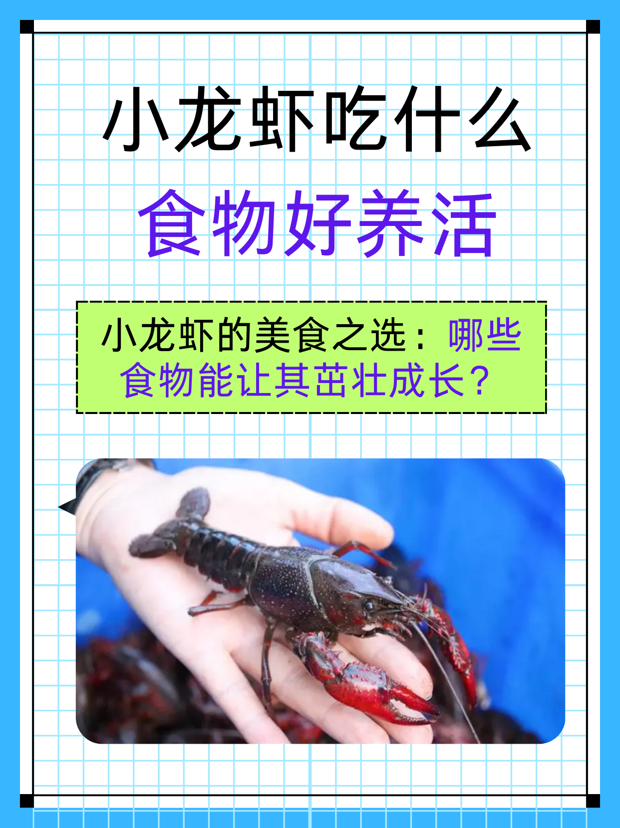 农村养小龙虾真的能赚钱吗现在(农村养小龙虾真的能赚钱吗现在怎么样)