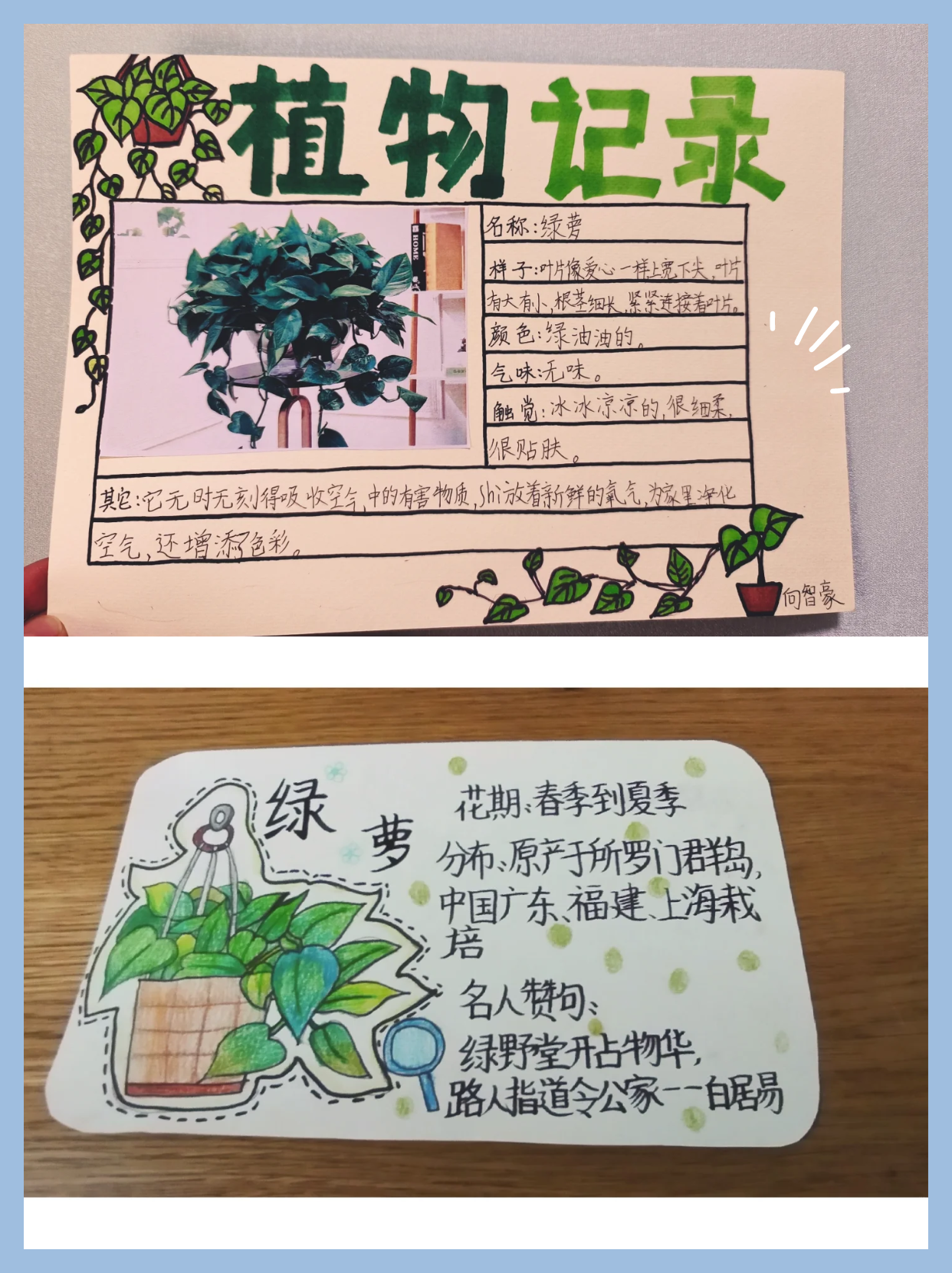 为自己的植物朋友做个记录卡(为自己的植物朋友做个记录卡吧语文)