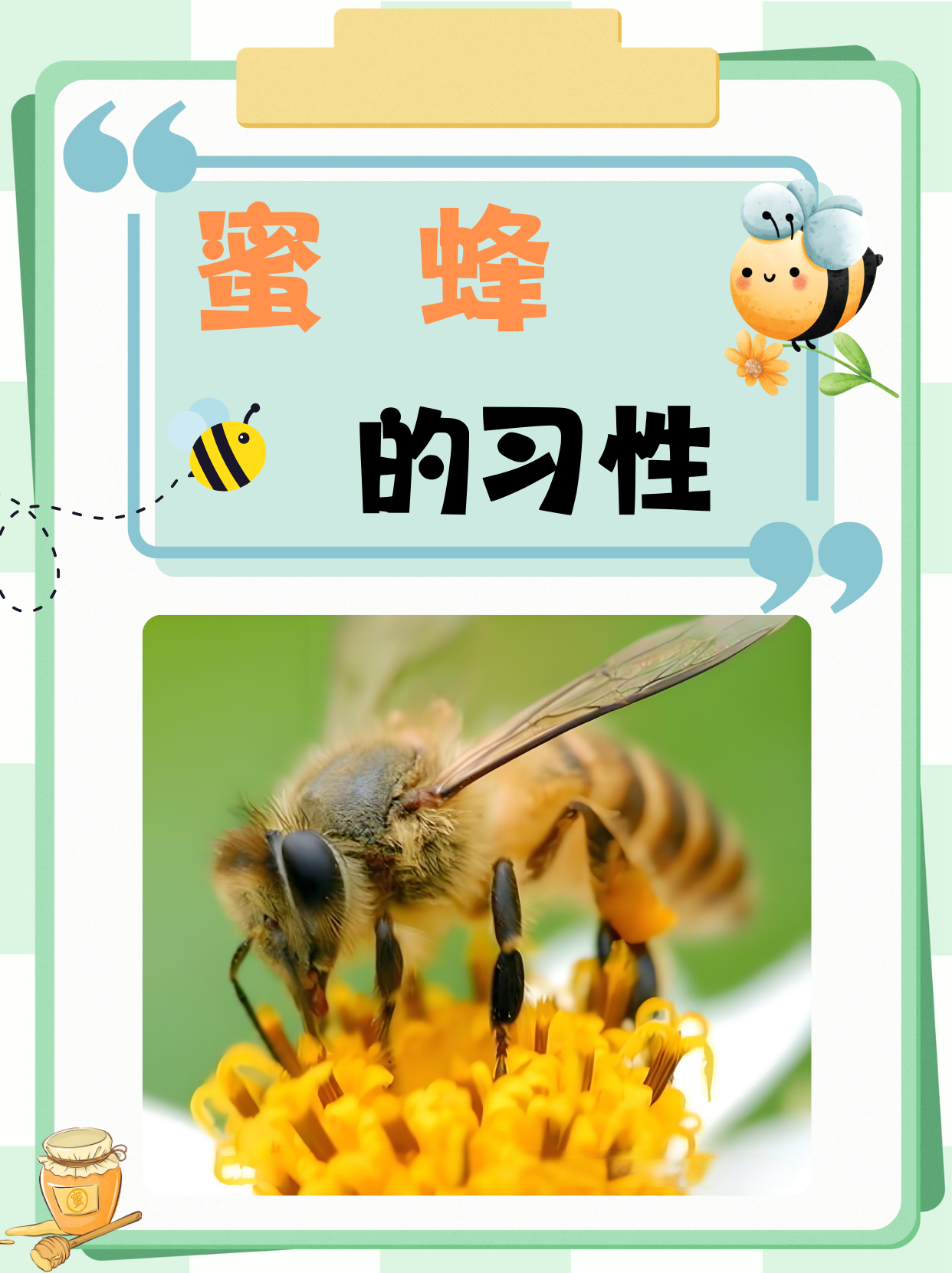梦见蜜蜂和很多蜂蜜是什么意思(梦见很多蜜蜂和蜜糖)