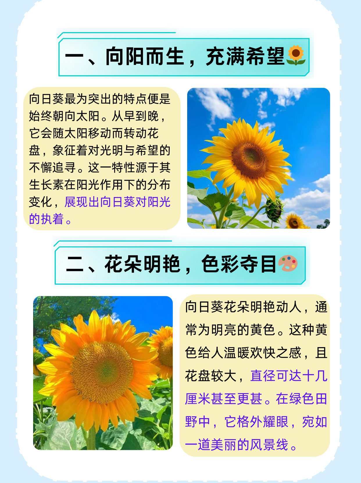 为什么向日葵总是朝着太阳开花