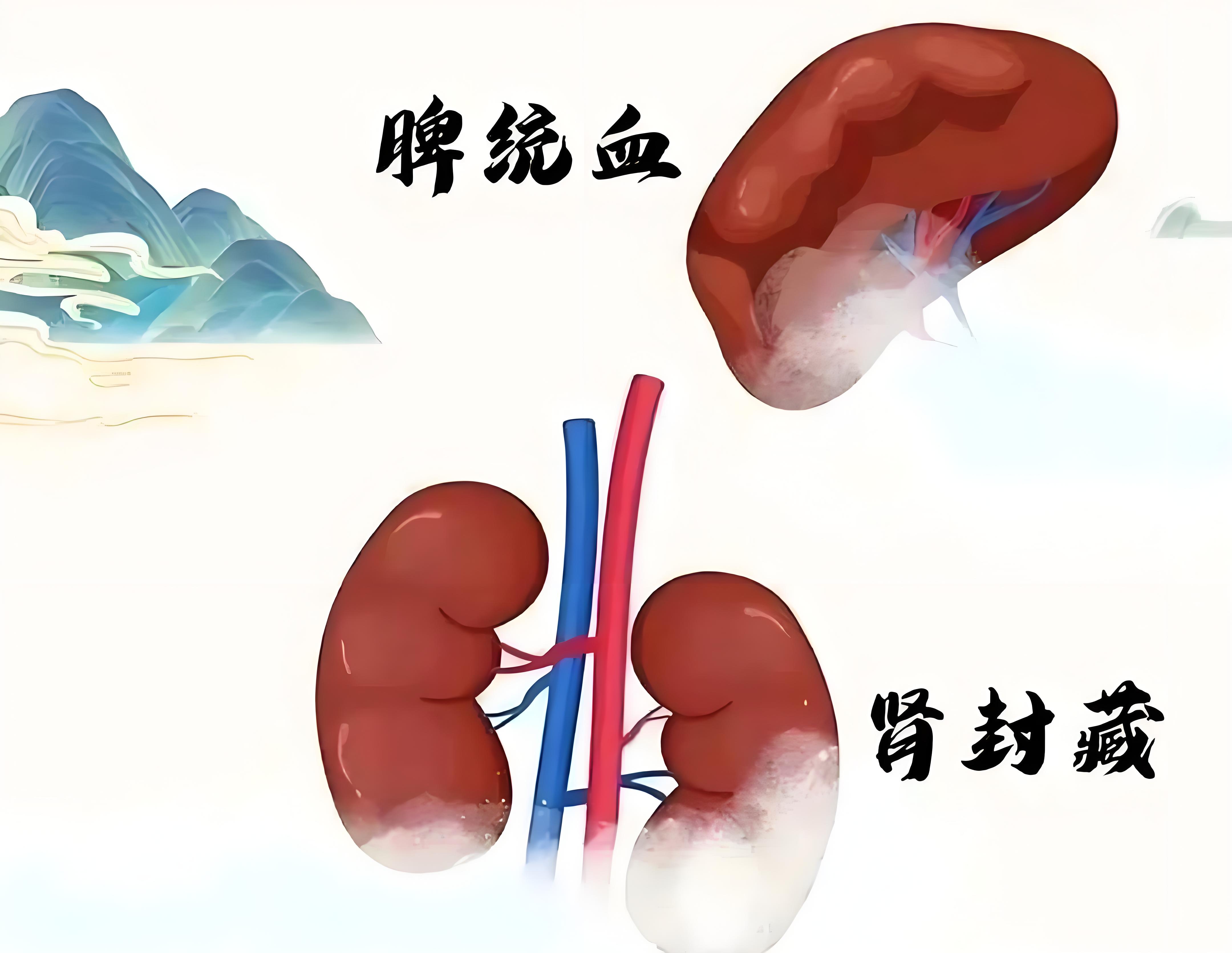 抑郁是脾肾两虚了,压根不是想不开!